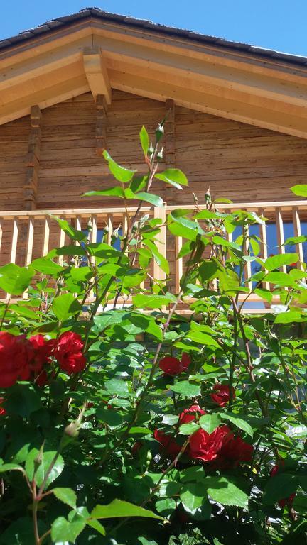 Hotel Des Roses Antey-Saint-Andre Ngoại thất bức ảnh